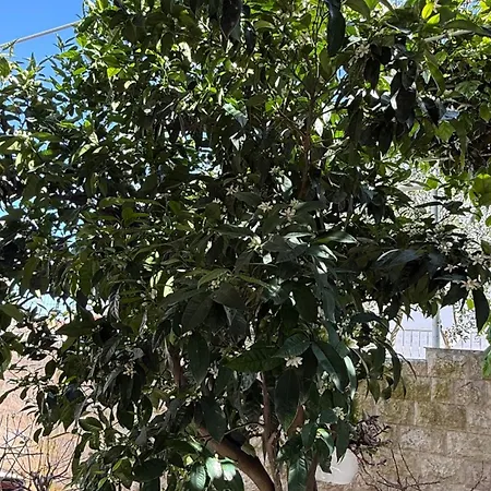 Petar - Parking And Seaview Apartamento