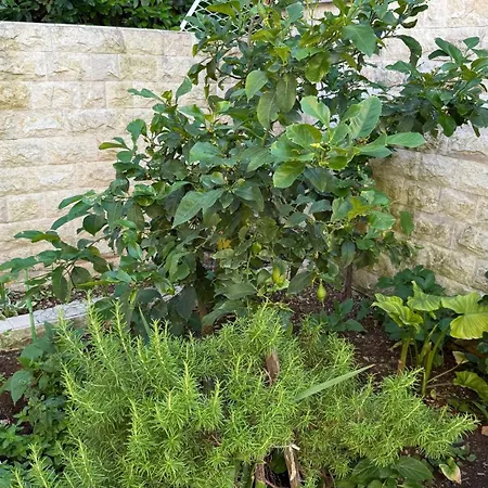 Petar - Parking And Seaview Apartamento Trogir